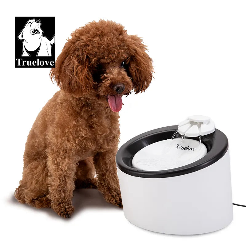 Alimentador automático para mascotas, dispensador de agua circulante automático, agua potable saludable, productos para mascotas, cuenco para perros y gatos pequeños