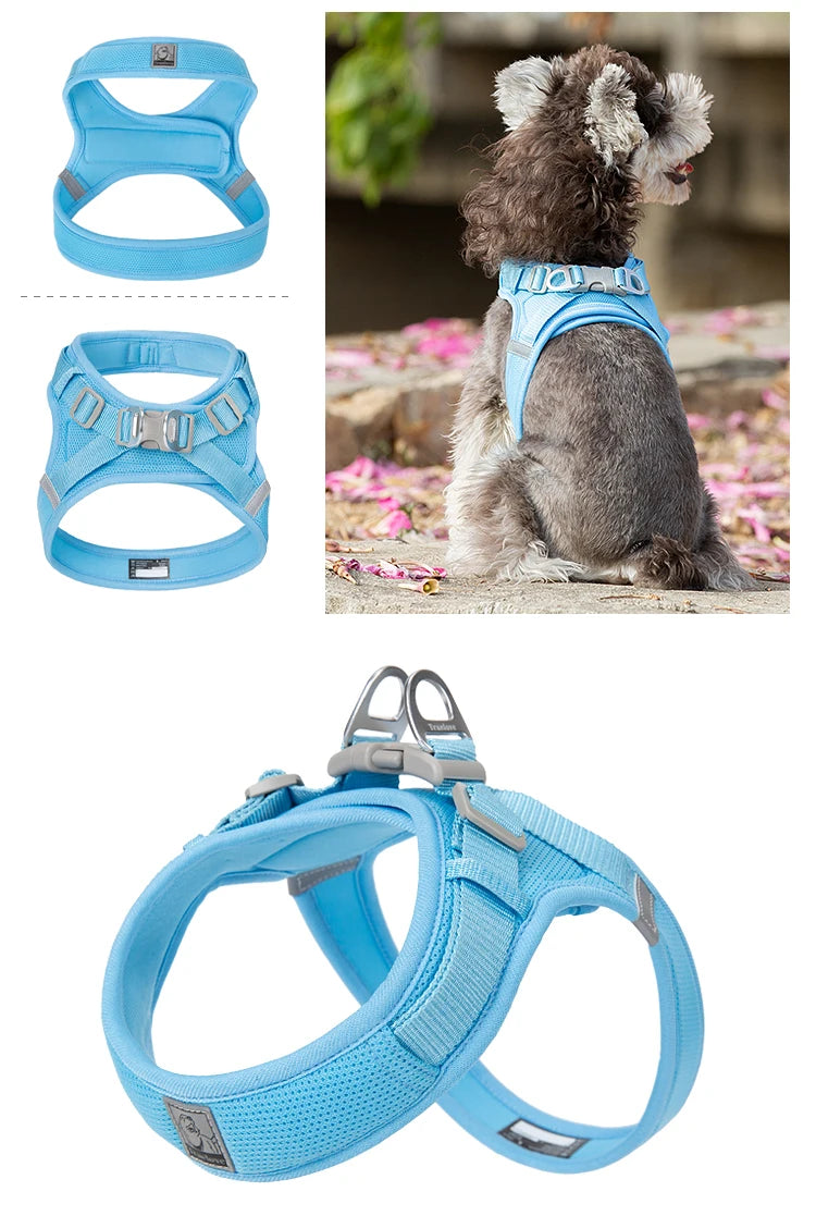 Portabebés para perros pequeños, hebilla en D de aluminio, gancho para caminar y bucle, accesorios portátiles para ponerse y quitarse