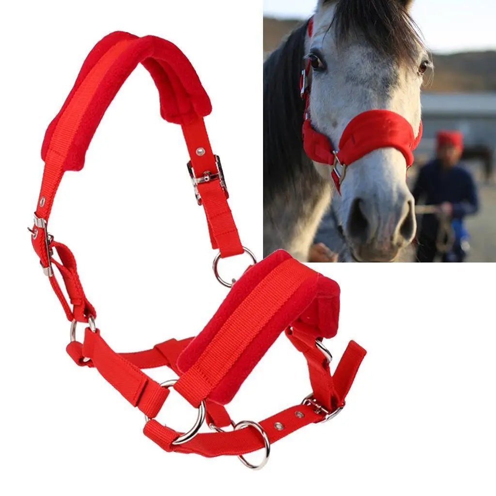 Thicken Pony Horse Halter Head Collar Horse Riding Stable Protective Red S