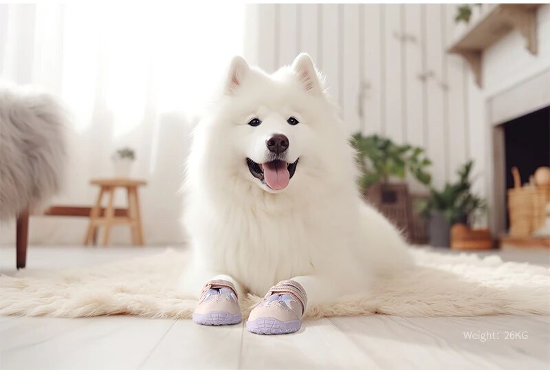 Breathable Dog Shoes with TPR Sole Flexible Protectable Soft Outsole Classic Outdoor Dog Boots All Breed 4Pcs  Clothes Fashion Style