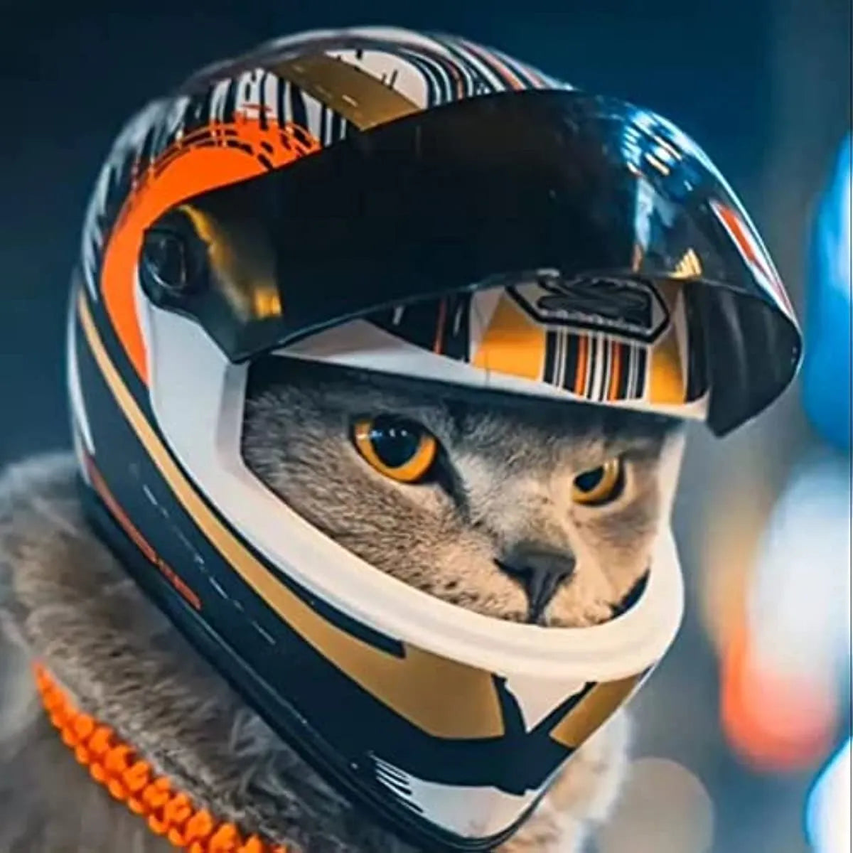 Casco integral para motocicleta para mascotas, mini cascos para perros y gatos, sombrero seguro para proteger la cabeza al aire libre, accesorios para fotos de gatos y mascotas