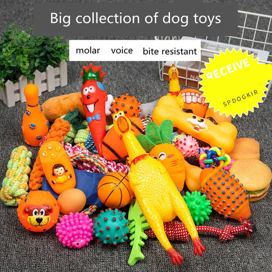 Juguetes para perros, pelota para mascotas, cuerda de hueso, juguetes de peluche chirriantes, Kit interactivo para cachorros, juguete de masticación Molar para perros pequeños y grandes, suministros para Pug