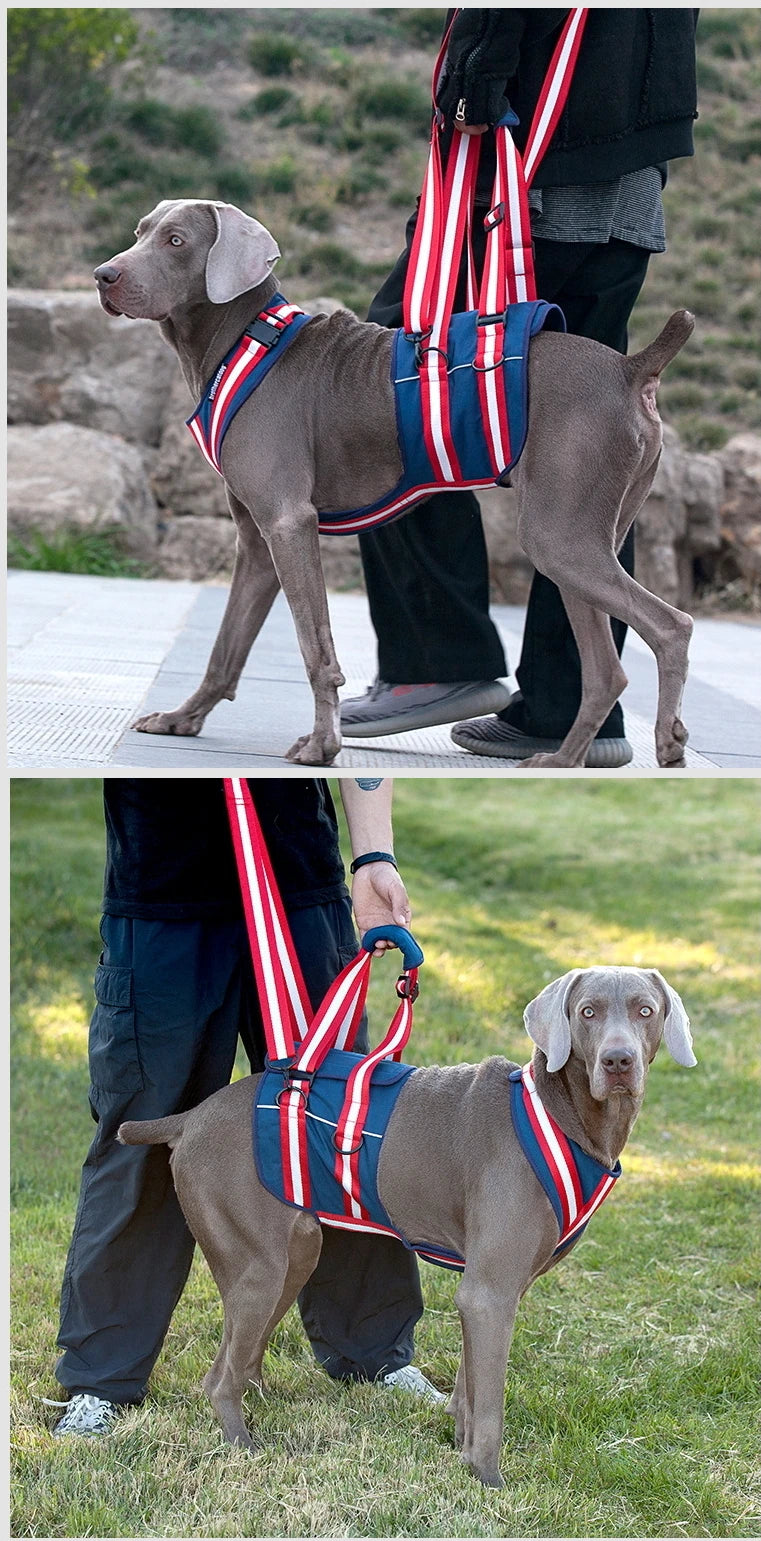 Arnés de asistencia ajustable, soporte para eslinga de elevación, correa para mascotas, accesorios de tracción para perros mayores, correa para entrenamiento y ayuda para el comportamiento