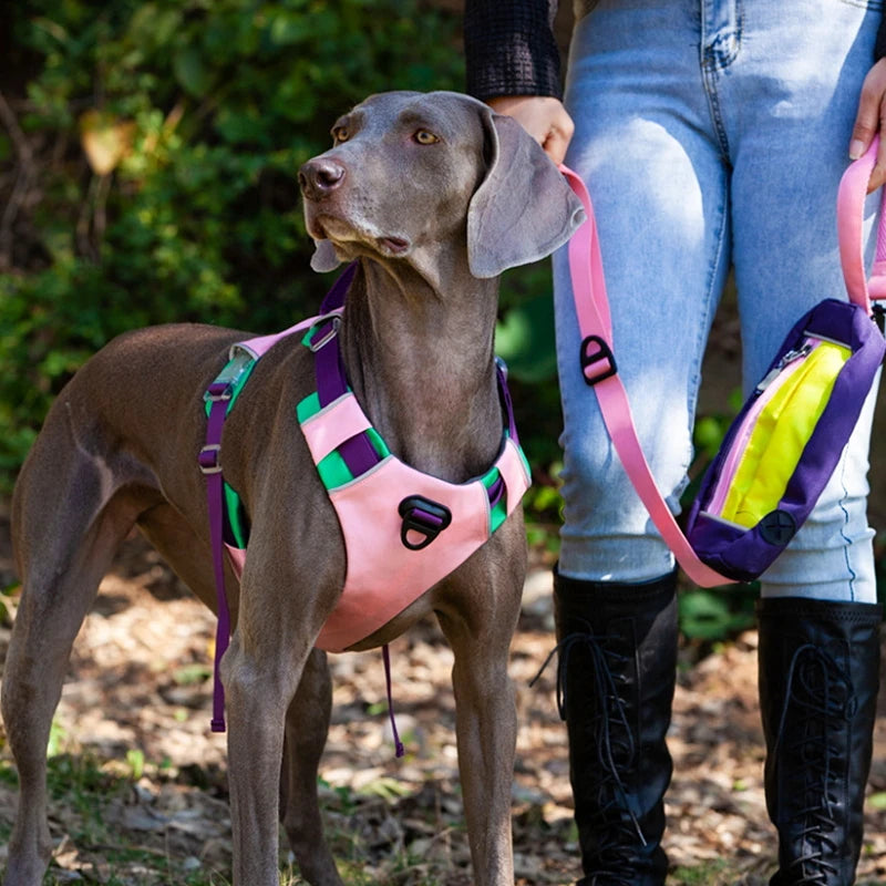 Productos para mascotas, accesorios para perros, arnés de nailon, ayuda para el comportamiento, Collar, correa para el pecho, correa acolchada para exteriores, chaleco pequeño y grande