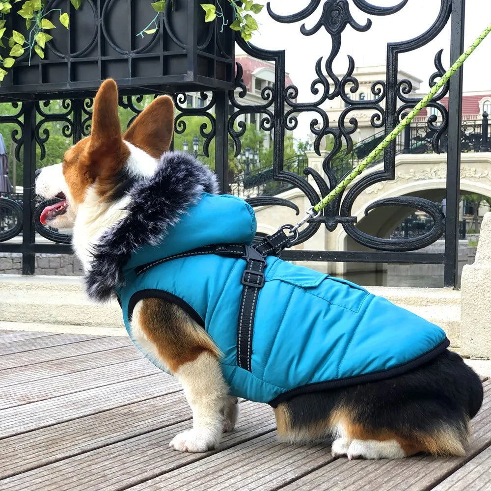 Ropa cálida de invierno acolchada para perros, chaleco impermeable para mascotas, chaqueta con cremallera para perros pequeños, medianos y grandes, abrigo para Bulldog Francés Pug Chihuahua