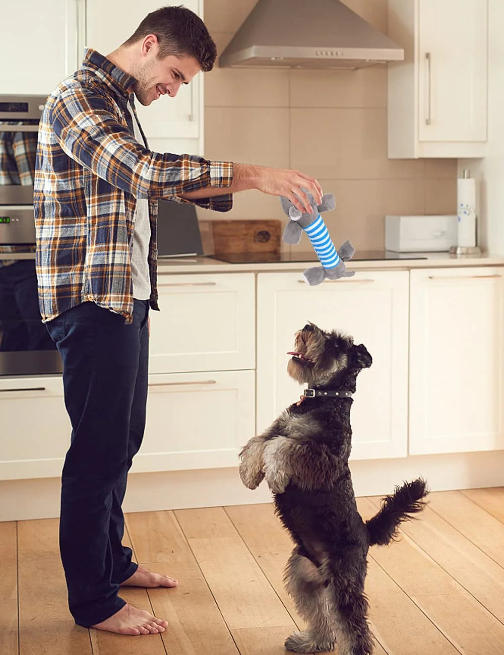 Vida creativa, juguetes interactivos para perros, chirriador para masticar para cachorros, sonido de peluche, cerdo, elefante, pato, juguetes con sonido para perros