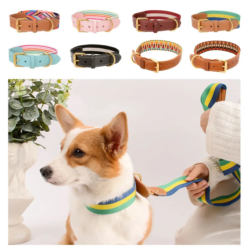 Nuevo collar de color mejorado de alta calidad para perros grandes, pastor alemán, paseo para perros, cadena P, mascota ajustable para perros medianos y grandes, accesorios