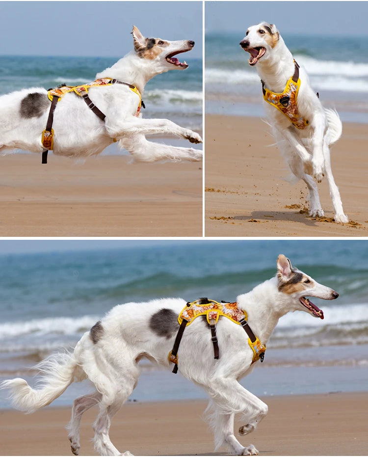 Arnés para perros, artículos para perros, chaleco de entrenamiento para caminar al aire libre, accesorios para perros, chaleco con arnés para mascota reflectante transpirable, suministros para mascotas