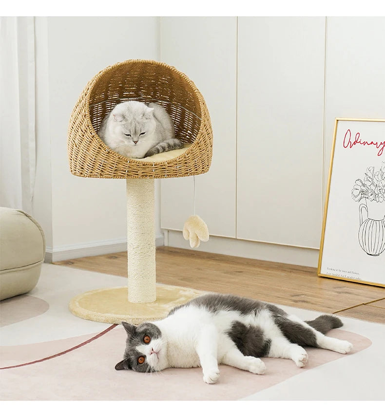 Árbol de escalada para rascar gatos, casa tejida de mimbre, trinquete de molienda para mascotas, poste rascador de Sisal, marco rascador para gatos, cama tipo nido, Juguetes