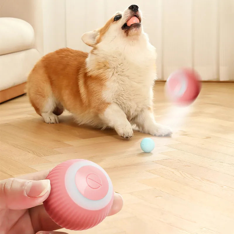 Juguetes eléctricos para perros, pelota inteligente para cachorros, juguetes para gatos, perros pequeños, pelota rodante automática, juegos para cachorros automóviles, juguetes para mascotas