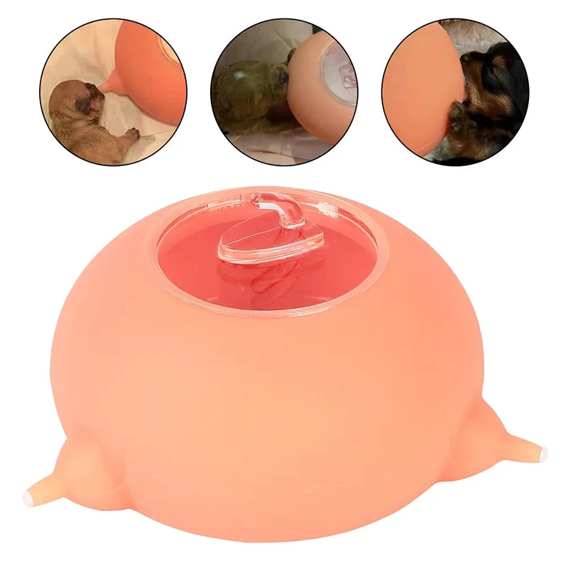 Mangeoire à lait pour animaux de compagnie, mamelon bionique, sûr, sain, de qualité alimentaire, outil d'alimentation en lait en Silicone pour chien, chat, chaton, chiot, bol