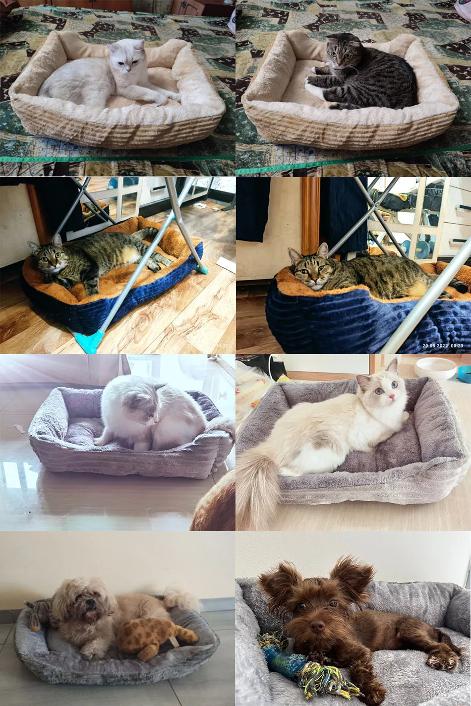 Cama para perro, gato, mascota, perrera cuadrada de felpa, sofá cama para perros medianos y pequeños, cojín calmante para mascotas, cama para perros, casa, suministros para mascotas