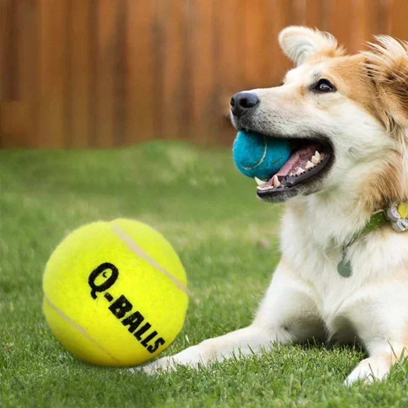 Juego de juguetes para perros Q-MONSTER Pelotas masticables de caucho natural de paredes gruesas para perros Pelotas hinchables interactivas de tenis para entrenamiento Paquete de 4