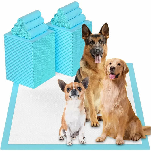 Couche Super absorbante pour animaux de compagnie, 120 pièces, coussinets d'entraînement pour chiens, tapis de couche sain jetable pour chats et chiens, tapis de Surface à séchage rapide