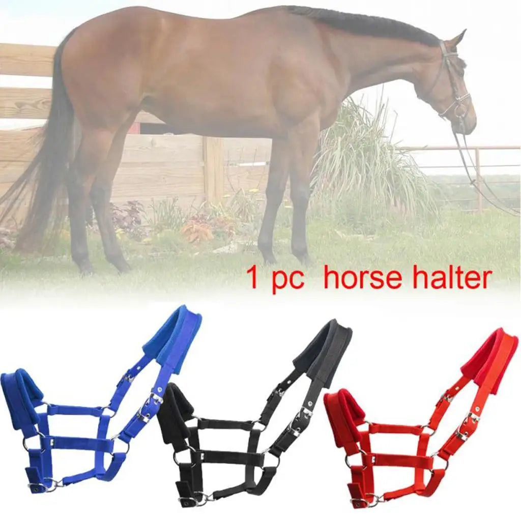 Confortable épaissir poney Cob cheval licou bride tête collier sangle équipement cheval bride tête accessoires Western