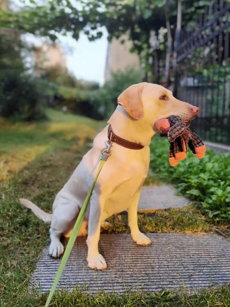 Divertido perro de peluche, burro de juguete con sonido, juguetes chirriantes, resistente a masticar, entrenamiento, perro, cachorro, gato, mascotas interactivas