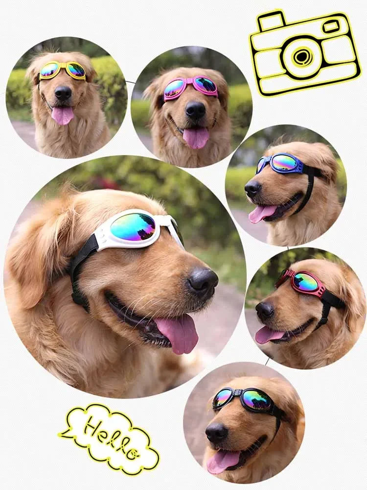 Gafas para perros plegables para prevenir rayos UV, gafas para mascotas para gatos, gafas de sol para perros, estilo de moda, gafas para perros, accesorios para fotos, accesorios para mascotas, suministros para perros