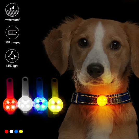 Colliers Anti-perte pour chiens, pendentif de sécurité étanche, lumière clignotante LED, LED rechargeable par USB, pendentif pour chiens, chats, animaux de compagnie