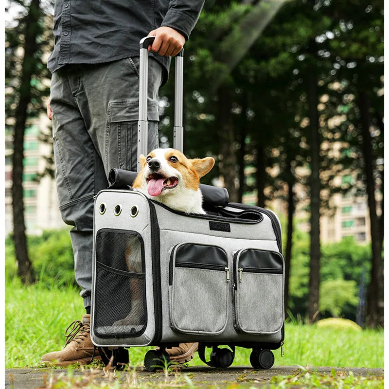 Mochila para mascotas de gran capacidad, práctico cochecito de viaje para animales, varilla de refuerzo, asiento para perros, cesta multifuncional para perros