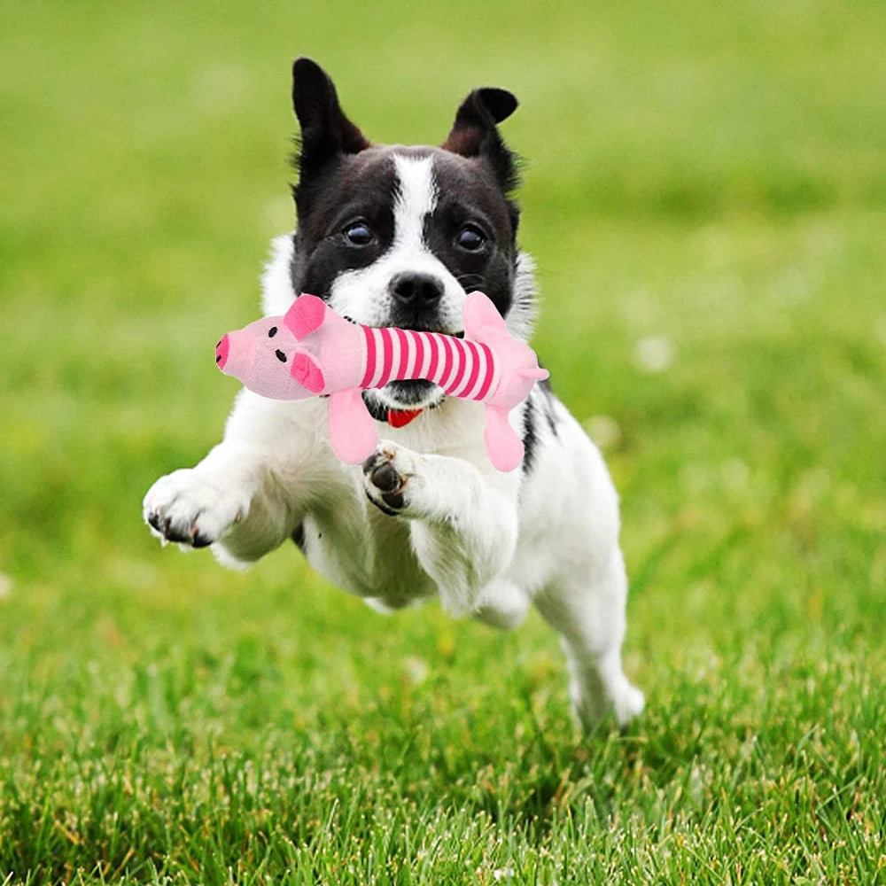 Vida creativa, juguetes interactivos para perros, chirriador para masticar para cachorros, sonido de peluche, cerdo, elefante, pato, juguetes con sonido para perros