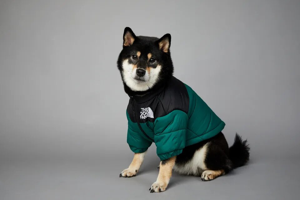 Chaqueta de invierno con cara de perro para perros pequeños y medianos, chaleco grueso y cálido para perros, abrigo para cachorros de Bulldog Francés, estilo de moda