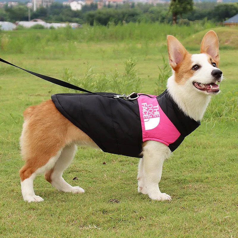 Vêtements chauds d'hiver pour animaux de compagnie, tenue, gilet pour animaux de compagnie, veste à fermeture éclair, manteaux imperméables pour petits, moyens et grands chiens, bouledogue français Labrador