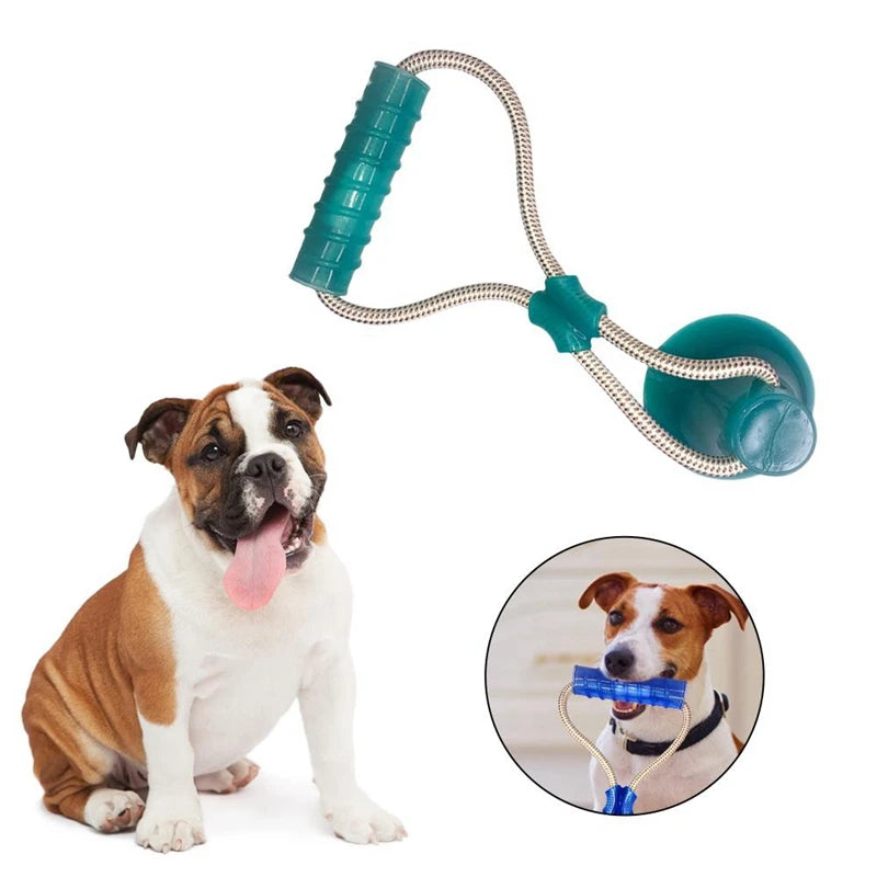 Juguetes interactivos para perros, ventosa, pelota, juguete para morder Molar, cuerdas elásticas, suministros para masticar Limpieza de dientes de perro