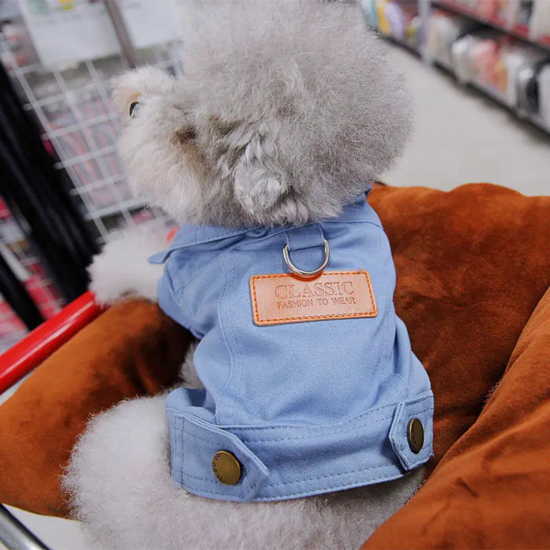 Traje de primavera para perros, abrigo vaquero, ropa con anillo de correa D para perros pequeños, medianos, cachorros, pantalones vaqueros de Color para mascotas, disfraz para perros pequeños