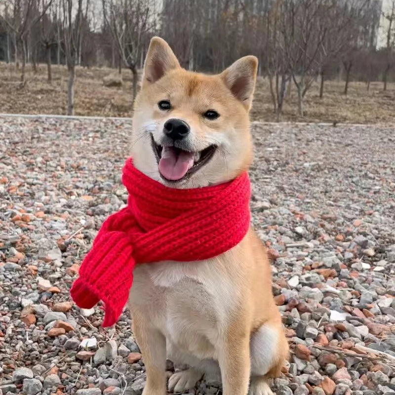 Écharpe tricotée chaude d'hiver pour petits et moyens chiens, écharpe de cou pour chat, carlin/Corgi/collier de noël, toilettage, Style à la mode