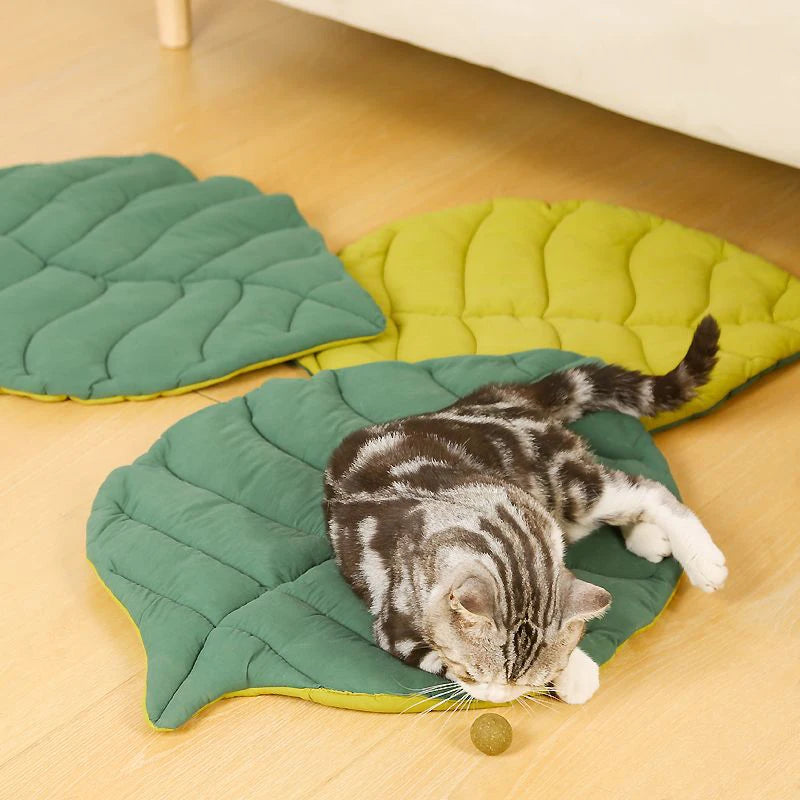 Tapis de lit en coton doux en forme de feuille pour chat, chaton, chiot, chien, couverture de sommeil pour animaux de compagnie, Double face, tapis de sol lavable