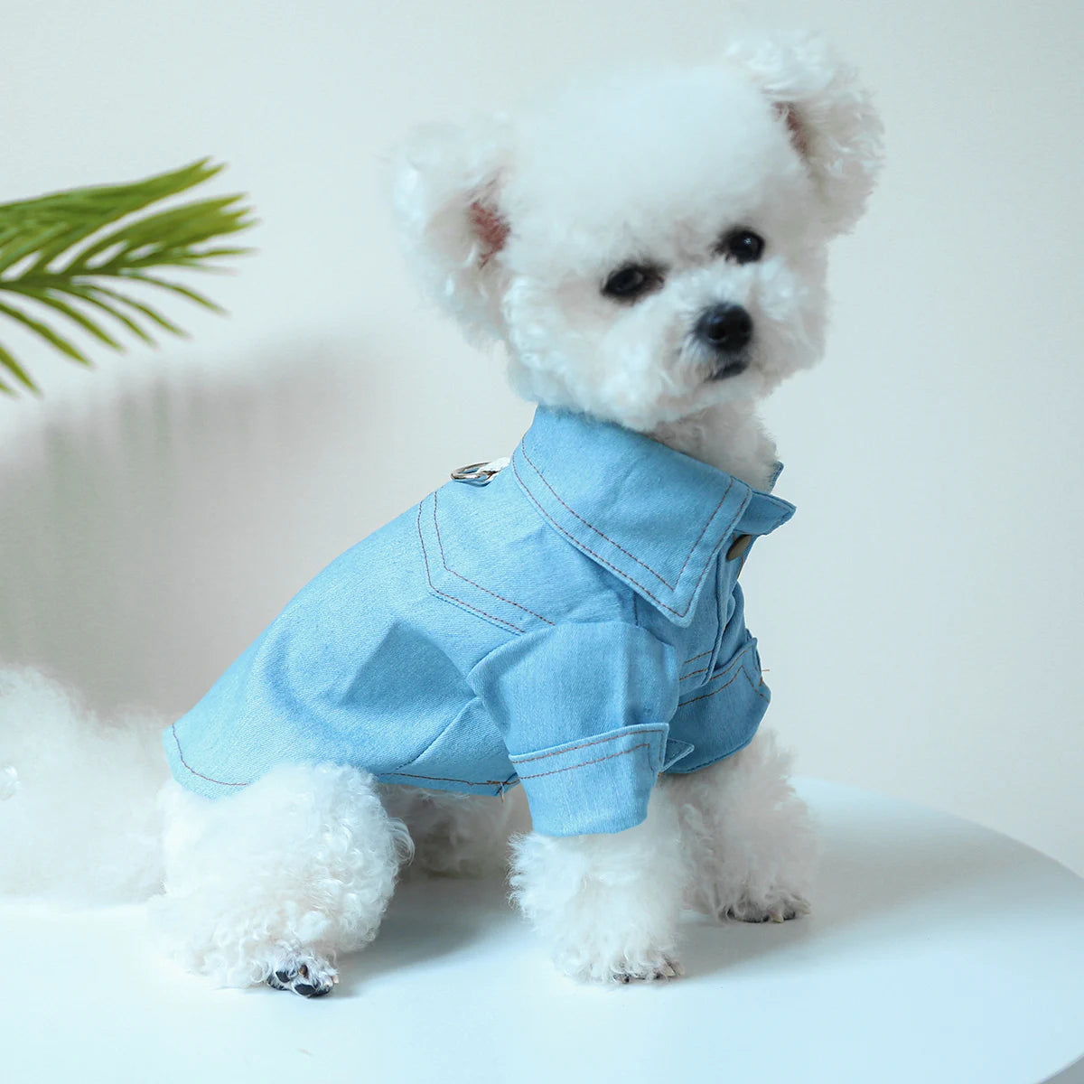 Vêtements pour animaux de compagnie, 1 pièce, printemps et automne, Denim bleu, beau manteau de chemise décontracté avec boucle à cordon pour petits et moyens chiens