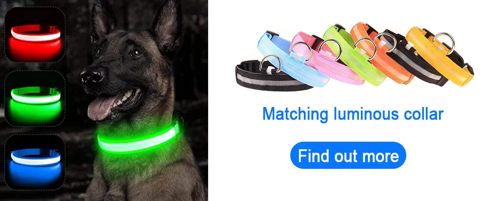 Correa luminosa para perro con luz LED, correa de plomo para seguridad de perro, Collar brillante intermitente, arnés, accesorios electrónicos para mascotas