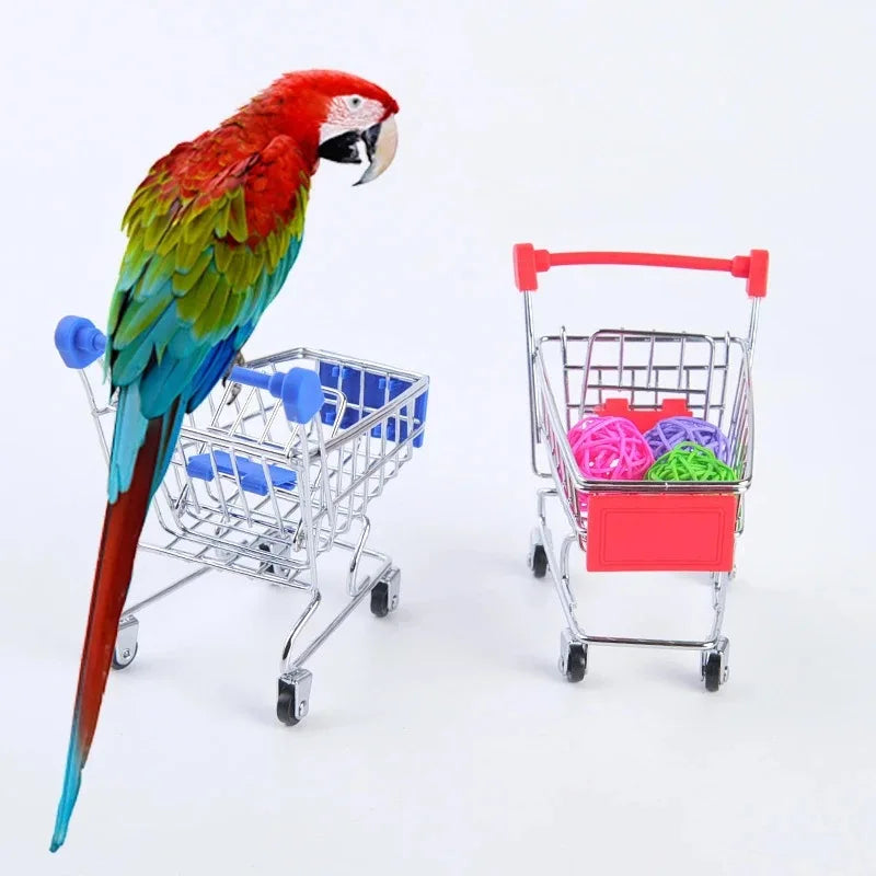 Fournitures de jouets d'entraînement d'oiseaux, support de basket-ball, panier de courses, chaussures de jouets pour oiseaux, canari, Skateboard, perroquet, accessoires de jouets