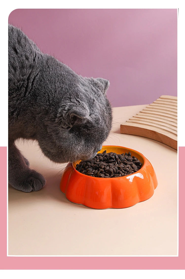 150ml Cat Ceramic Bowl Fruit Shape Pet Small Size Food Water Feeders Puppy Dog Drinking Eating Supplies