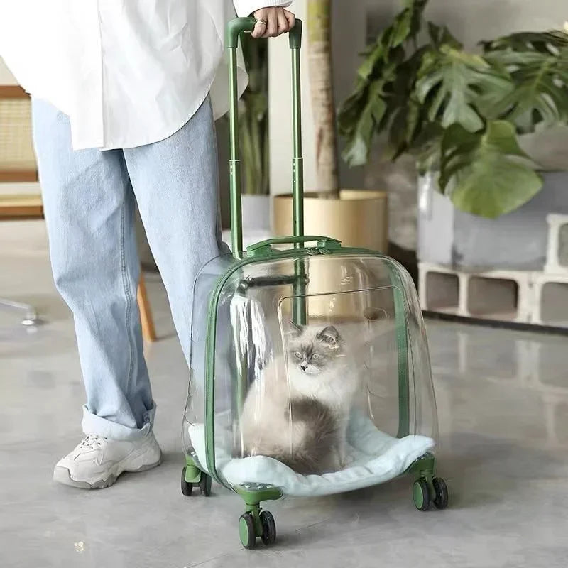 Sac à dos transparent pour animaux de compagnie, sac de transport pour chat, capsule portable, sac de transport pour animaux de compagnie 1 pièces