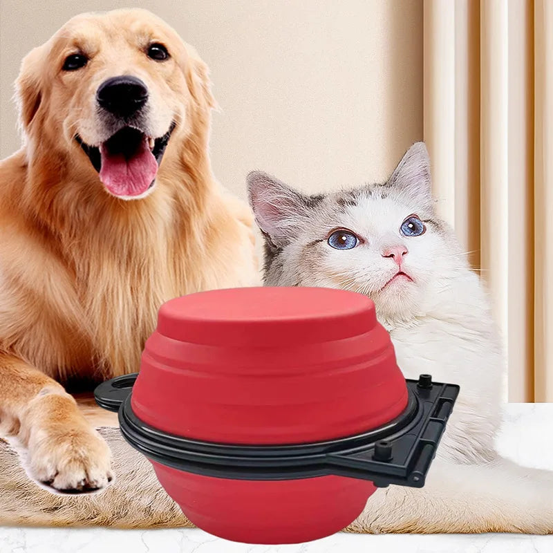 Bol d'alimentation double pliable 2 en 1, 1 pièce, bol d'alimentation portable pour voyage en plein air, bol à boire pour chien et chat