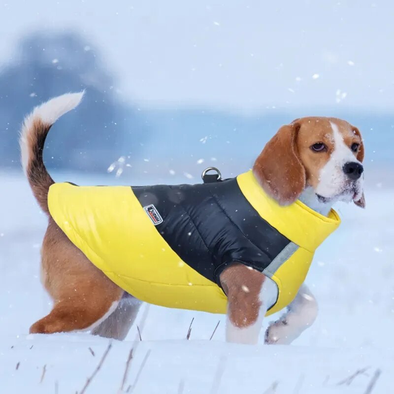 Ropa cálida de invierno para perros de compañía, chaleco para mascotas, chaqueta con cremallera, abrigos impermeables para perros pequeños, medianos y grandes, Bulldog Francés, Labrador