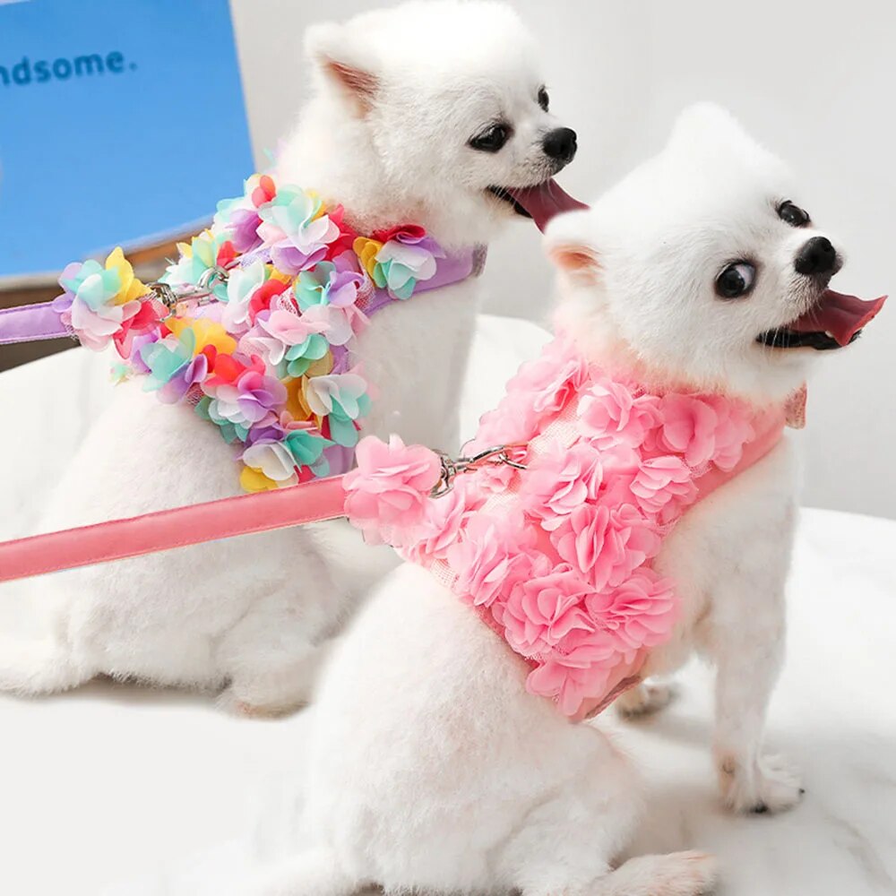 Conjunto de arnés y correa para perros de niña de flores de lujo, sin tirones, malla transpirable suave y ajustable, chaleco de seguridad para mascotas con flores lindas para cachorros, accesorios de arnés