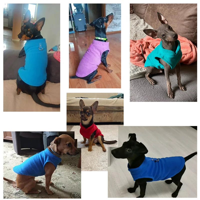 Ropa de lana de invierno para perros, ropa para cachorros, abrigo de Bulldog Francés, disfraces de Pug, chaqueta para perros pequeños, chaleco para Chihuahua, gatito Yorkie