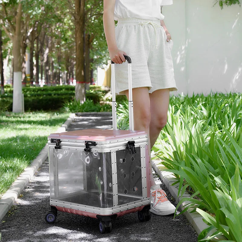 Valise à roulettes pour animaux de compagnie, porte-bulles de sortie Transparent pour chats, sac de transport, sac à dos extensible pour animaux de compagnie, valise, accessoire