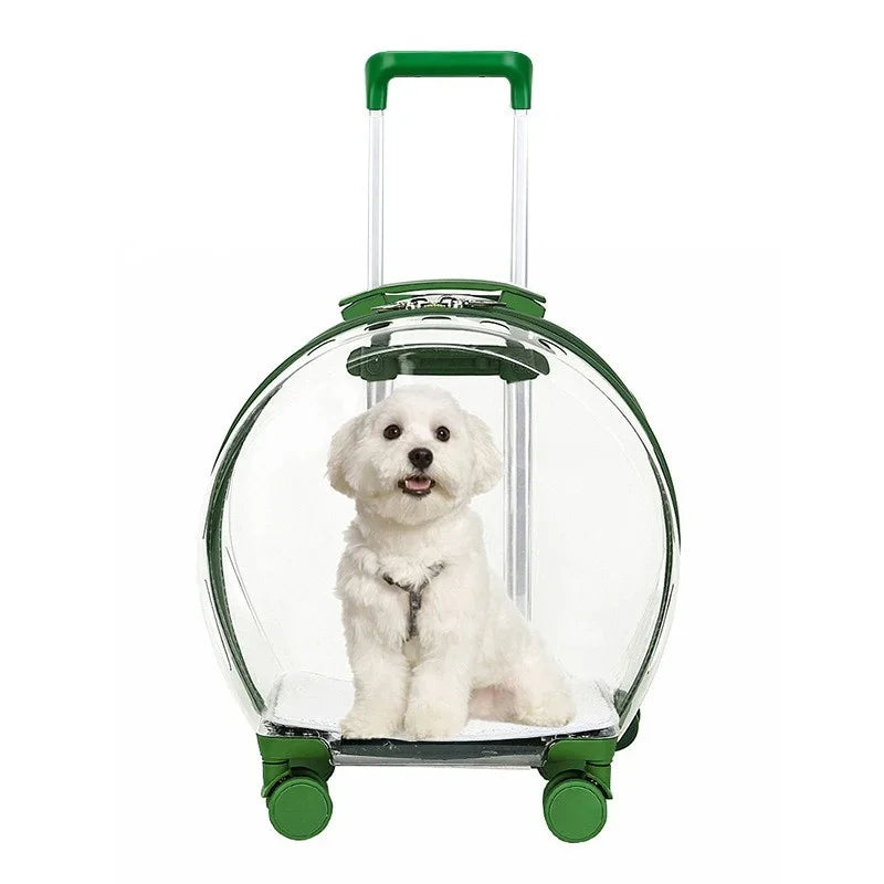 Cubierta de carrito para mascotas, transportador para gatos y cachorros, bolsa transparente para gatos, cochecito para mascotas, mochila portátil para gatos al aire libre, personalizable