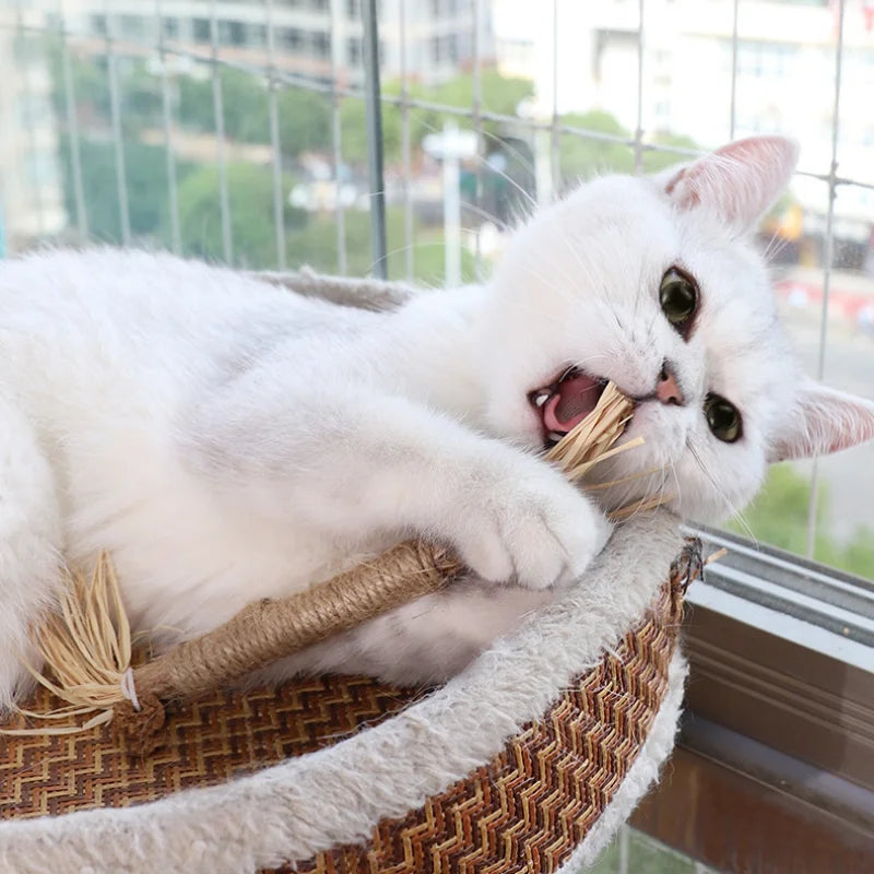 Jouets pour chats, bâton à mâcher en vigne argentée, Polygonum Kitty, herbe de raphia, fournitures pour animaux de compagnie, bâton de nettoyage des dents, morsure d'animal de compagnie, jouet pour chat, corde de chanvre, 1 pièce