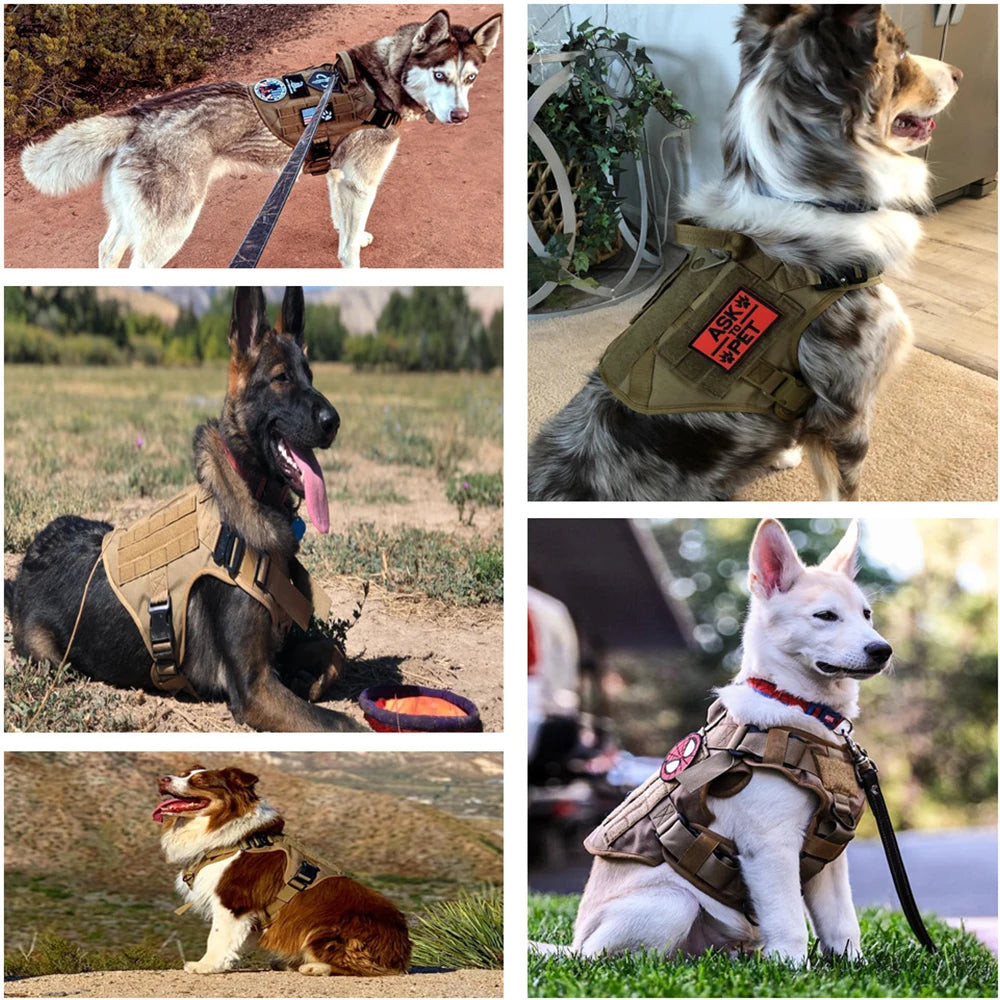 Arnés militar para perros grandes, chaleco de entrenamiento para pastor alemán K9 Malinois, conjunto de arnés y correa tácticos para perros, accesorios