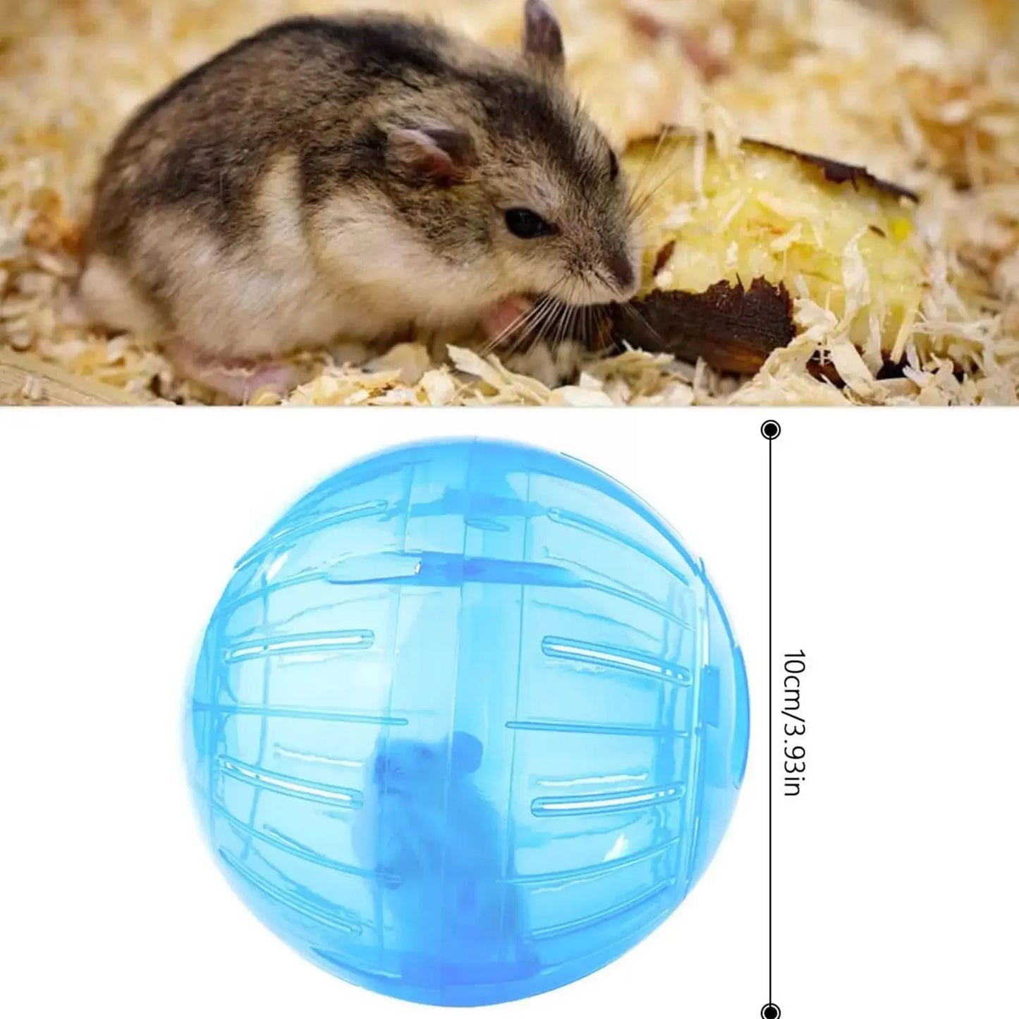 Pelota para deportes al aire libre, Grounder, rata, mascota pequeña, roedores, ratones, bolas, rata, 10cm, ejercicio, hámster, Gerbil, juguetes para correr