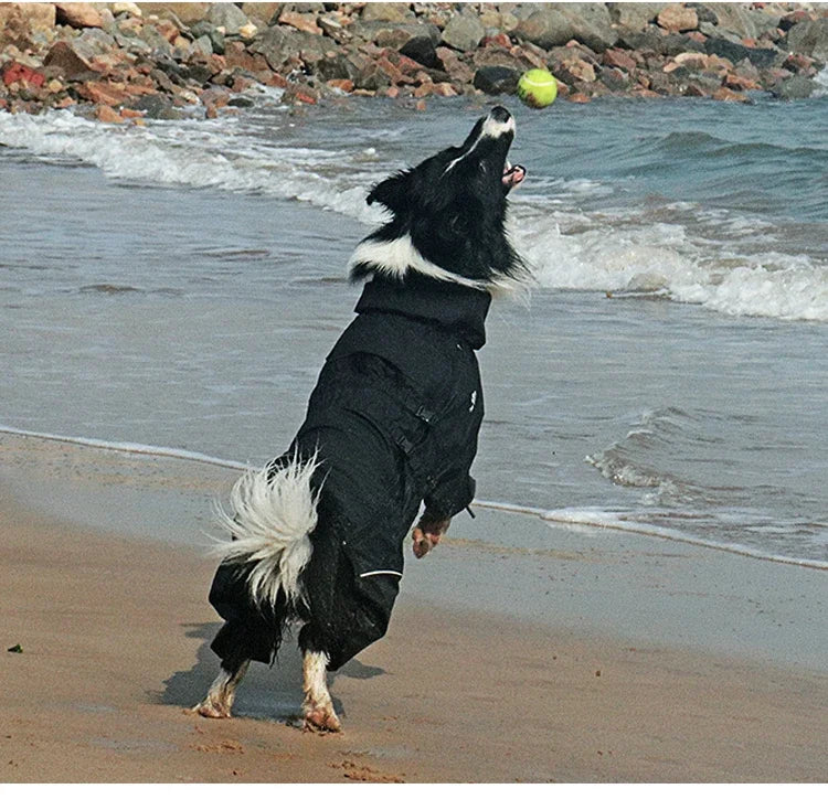 Abrigo para perros, chaqueta para exteriores, impermeable, ropa cálida de invierno, mono grande, impermeable reflectante para perros medianos y grandes