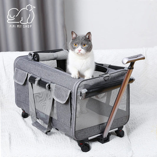 Boîtier de chariot Portable pour animaux de compagnie, roue universelle détachable, respirant, pliable, grande capacité, sac de voyage pour chiot, fournitures de transport pour chat