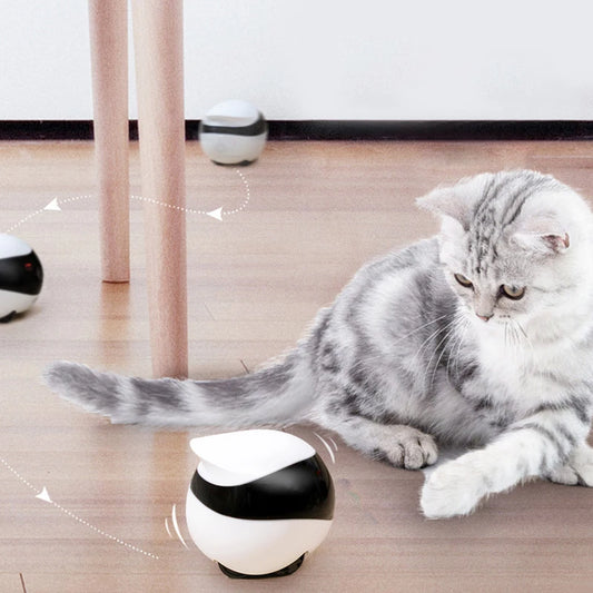 Robot compagnon intelligent pour animaux de compagnie, contrôle par application, caméra électronique, jouets robotiques interactifs pour chats, enfants âgés