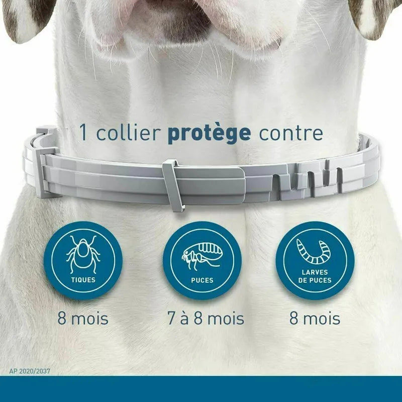 Collier anti-puces et tiques pour chien et chat, Protection de 8 mois, colliers rétractables pour animaux de compagnie, pour chiot, chat, grands chiens, accessoires