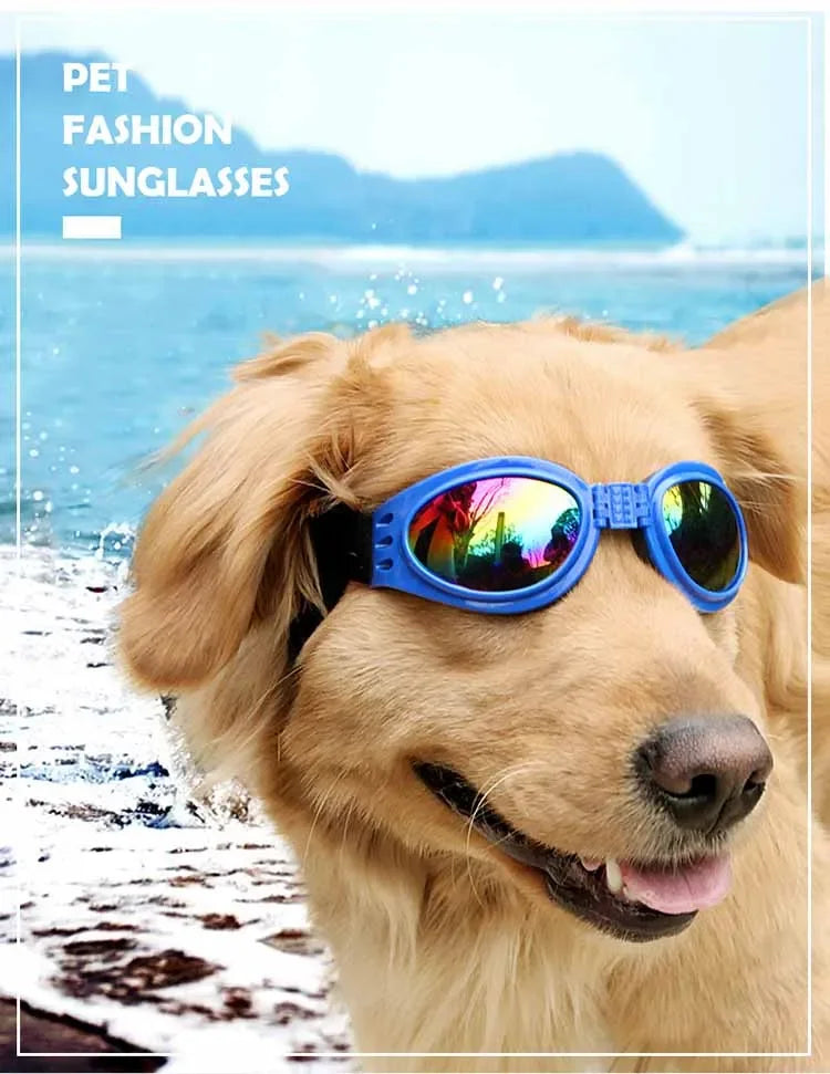 Gafas para perros plegables para prevenir rayos UV, gafas para mascotas para gatos, gafas de sol para perros, estilo de moda, gafas para perros, accesorios para fotos, accesorios para mascotas, suministros para perros