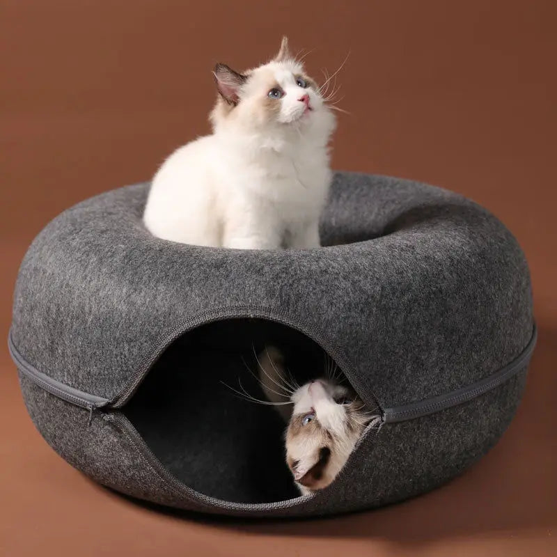 Lit beignet pour chat, Tunnel pour animaux de compagnie, jeu interactif, jouet pour chat, jouet d'intérieur à double usage, équipement de sport pour chaton, jouet d'entraînement pour chat, maison pour chat